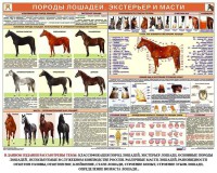 Комплект плакатов "Служебное коневодство" - fgospostavki.ru - Семёнов