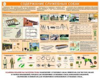 Комплект плакатов "Кинология" - fgospostavki.ru - Семёнов