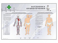 Электрифицированный стенд "Остановка кровотечения" - fgospostavki.ru - Семёнов