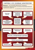 Комплект таблиц. ОБЖ. Здоровый образ жизни. - fgospostavki.ru - Семёнов