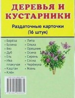 Раздаточные карточки "Деревья и кустарники" - fgospostavki.ru - Семёнов