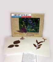 Гербарий "Дикорастущие растения" (28 видов) - fgospostavki.ru - Семёнов