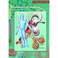 Интерактивные плакаты. Биология человека. Программно-методический комплекс - fgospostavki.ru - Семёнов