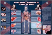 Электрифицированный стенд "Вредные привычки: алкоголизм" - fgospostavki.ru - Семёнов