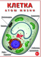 DVD "Клетка - "атом жизни" - fgospostavki.ru - Семёнов