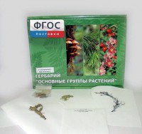 Гербарий "Основные группы растений" (52 листа) - fgospostavki.ru - Семёнов