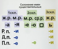 Набор магнитных карточек "Склонение имен существительных" - fgospostavki.ru - Семёнов