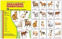 Демонстрационные карточки "Домашние животные" - fgospostavki.ru - Семёнов