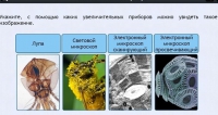 Интерактивные курсы. Биология 5 класс. Расширенный - fgospostavki.ru - Семёнов