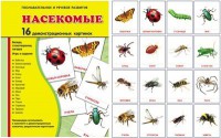 Демонстрационные карточки "Насекомые" - fgospostavki.ru - Семёнов