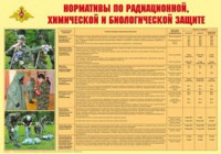 Плакат "Нормативы по радиационной, химической и биологической защите" - fgospostavki.ru - Семёнов