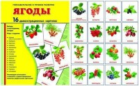 Демонстрационные карточки "Ягоды" - fgospostavki.ru - Семёнов