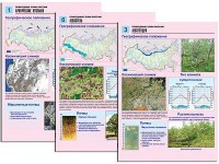 Комплект таблиц по географии "Природные зоны России" раздаточные (цветные, ламинированные, А4, 10 штук) - fgospostavki.ru - Семёнов