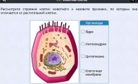 Интерактивные курсы. Биология 8 класс. Базовый - fgospostavki.ru - Семёнов