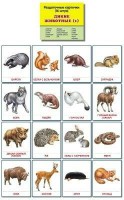 Раздаточные карточки "Дикие животные (1)" - fgospostavki.ru - Семёнов