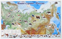 Магнитные карточки "Животные" - fgospostavki.ru - Семёнов