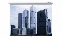 Настенный проекционный экран Lumien Eco Picture (LEP-100102) 180х180 см - fgospostavki.ru - Семёнов