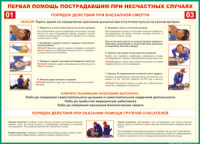 Таблица "Порядок действий при внезапной смерти" (100х140 сантиметров, винил) - fgospostavki.ru - Семёнов
