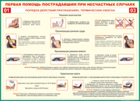 Таблица "Порядок действий при ранениях и термических ожогах" (100х140 сантиметров, винил) - fgospostavki.ru - Семёнов