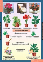 Комплект таблиц. Окружающий мир 1 класс. - fgospostavki.ru - Семёнов