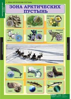 Комплект таблиц. Окружающий мир 4 класс. - fgospostavki.ru - Семёнов