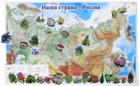 Магнитные карточки "Растения" - fgospostavki.ru - Семёнов