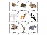 Набор магнитных карточек по музыке "Животные" (9 штук) - fgospostavki.ru - Семёнов