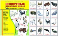 Демонстрационные карточки "Животные холодных широт" - fgospostavki.ru - Семёнов