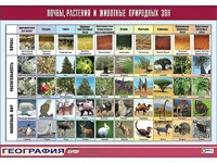 Таблица демонстрационная "Почвы, растения и животные природных зон" (винил 100*140) - fgospostavki.ru - Семёнов