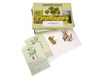 Гербарий "Для начальной школы" (30 видов, с иллюстрациями) - fgospostavki.ru - Семёнов