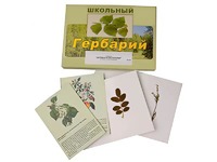 Гербарий "Деревья и кустарники" (22 вида, с иллюстрациями) - fgospostavki.ru - Семёнов