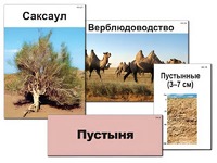 Модель-аппликация "Природные зоны России" (ламинированная) - fgospostavki.ru - Семёнов