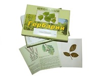 Гербарий "Дикорастущие растения" (30 видов, с иллюстрациями) - fgospostavki.ru - Семёнов