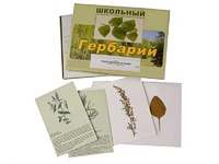 Гербарий "Лекарственные растения" (22 вида с иллюстрациями) - fgospostavki.ru - Семёнов