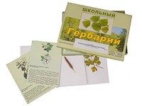 Гербарий "Сельскохозяйственные растения" (30 видов, с иллюстрациями) - fgospostavki.ru - Семёнов