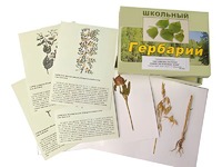 Гербарий "Систематика растений. Семейство Бобовые. Злаки" (раздаточный) - fgospostavki.ru - Семёнов