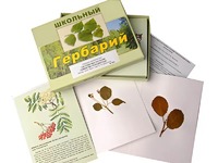 Гербарий "Систематика растений. Семейство Розоцветные" (раздаточный) - fgospostavki.ru - Семёнов
