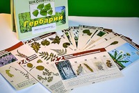 Гербарий к курсу основ общей биологии - fgospostavki.ru - Семёнов