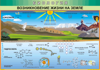Таблица "Возникновение жизни на земле" (100х140 сантиметров, винил) - fgospostavki.ru - Семёнов