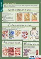 Комплект таблиц. Биология 8-9 класс. Человек. - fgospostavki.ru - Семёнов