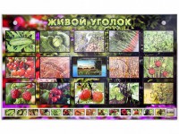 Комплект оборудования "Живой уголок" (растения) с тифлопереводом и сурдокомментариями - fgospostavki.ru - Семёнов