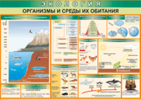Таблица "Организмы и среды их обитания" (100х140 сантиметров, винил) - fgospostavki.ru - Семёнов