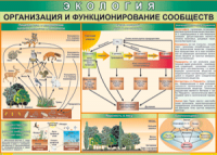 Таблица "Организация и функционирование сообществ" (100х140 сантиметров, винил) - fgospostavki.ru - Семёнов