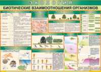 Таблица "Биотические взаимоотношения организмов" (100х140 сантиметров, винил) - fgospostavki.ru - Семёнов