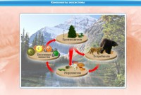 Интерактивные курсы. Биология 7 класс. Базовый. - fgospostavki.ru - Семёнов