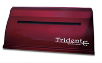 Принтер для печати рельефно-точечным шрифтом Брайля Trident - fgospostavki.ru - Семёнов