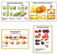 Плакаты ПРОФТЕХ "Ассортимент овощных культур" (12 пл, винил, 70х100) - fgospostavki.ru - Семёнов