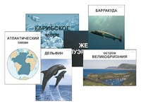 Модель-аппликация "Океаны. Знакомство" (ламинированная) - fgospostavki.ru - Семёнов