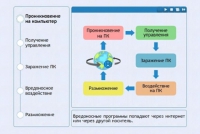Интерактивные курсы. Информатика 10 класс . Базовый. - fgospostavki.ru - Семёнов