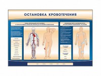 Электрифицированный стенд-тренажер "Остановка кровотечения" - fgospostavki.ru - Семёнов